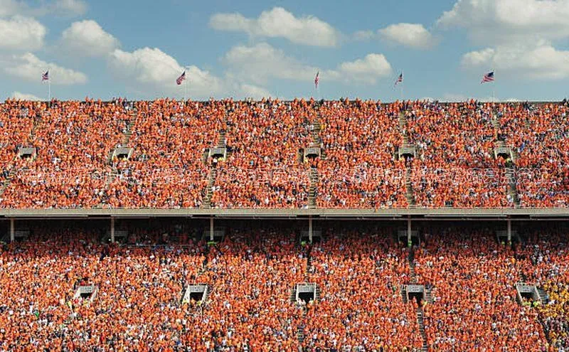 熊猫app官方网站