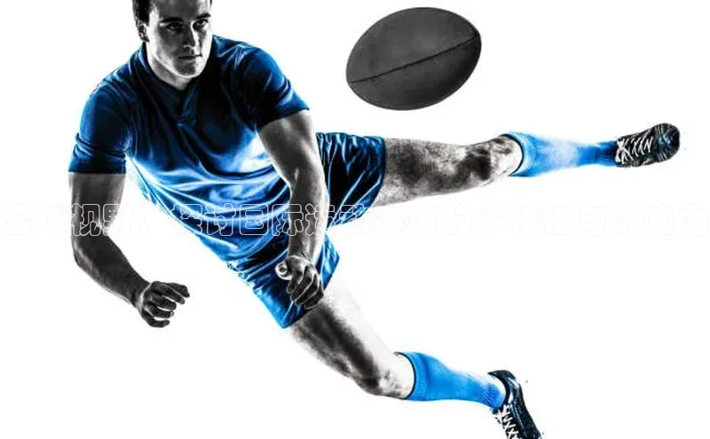 熊猫体育网页版