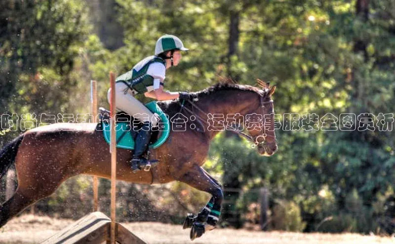 熊猫体育app下载