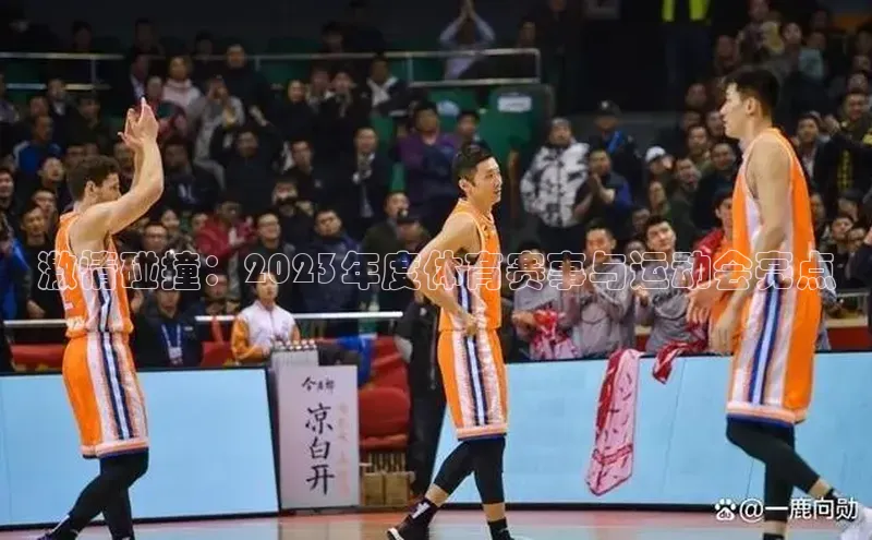 熊猫体育直播免费足球