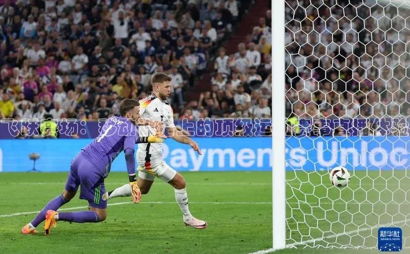 熊猫体育网页版