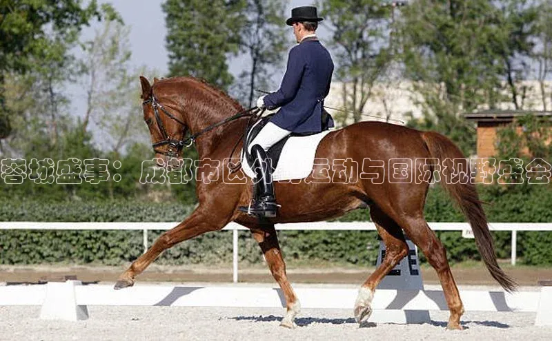 熊猫体育直播免费足球